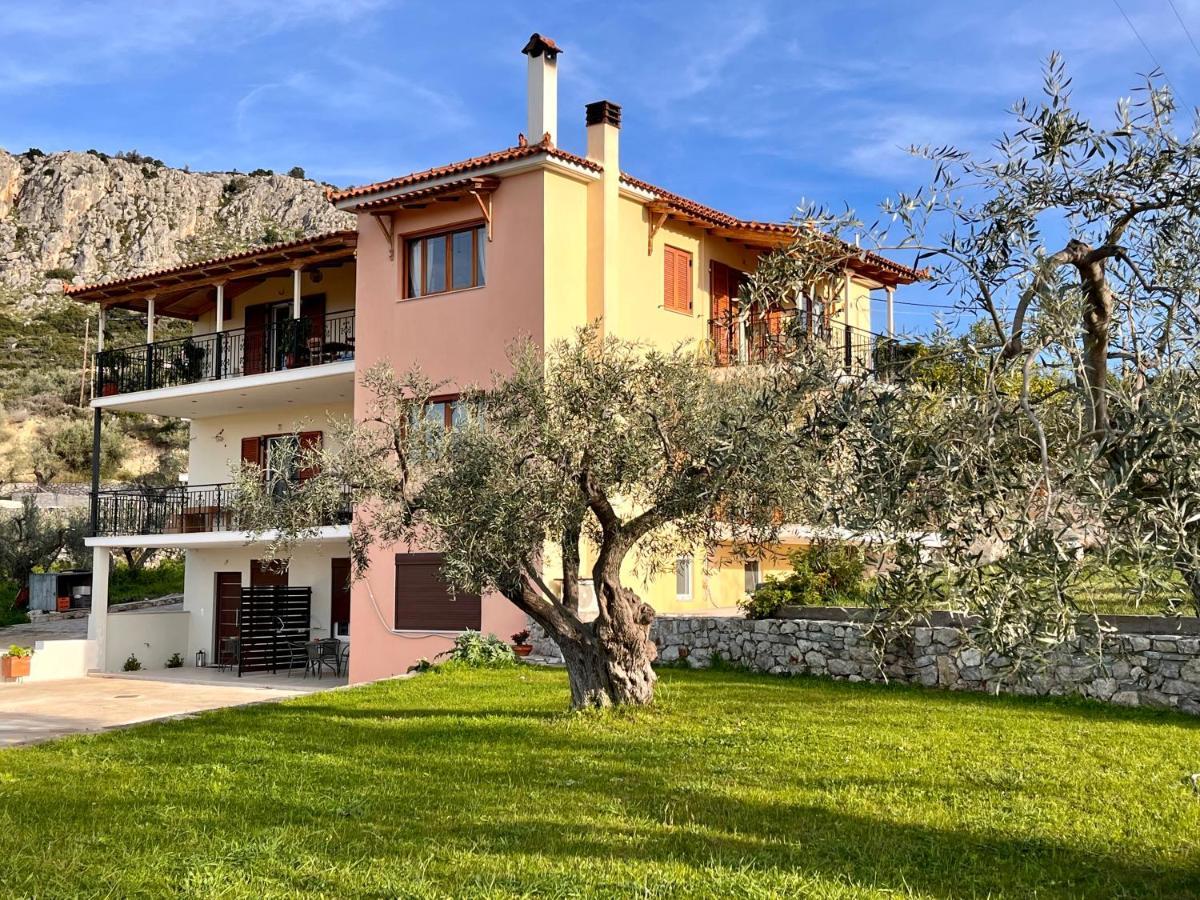 Bright studio near Palamidi Castle,2km from center Nauplia Esterno foto