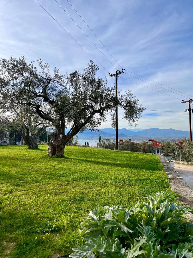Bright studio near Palamidi Castle,2km from center Nauplia Esterno foto